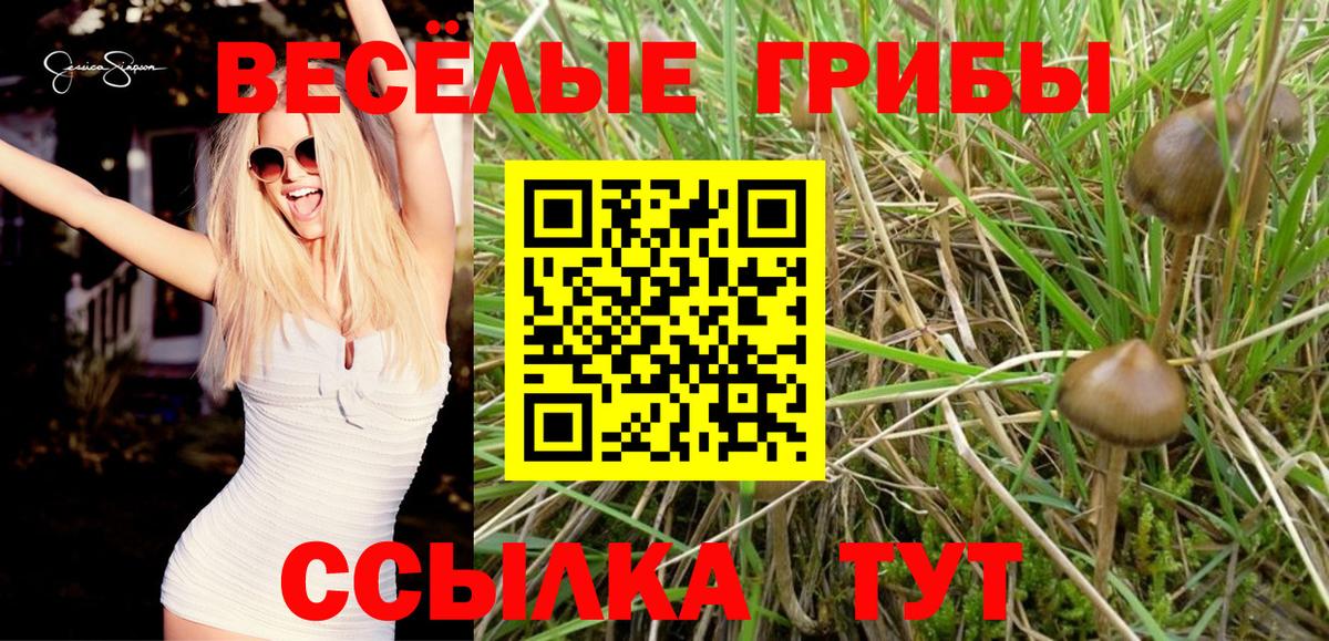 Псилоцибиновые грибы Cubensis  Вход с VPN  Улан-Удэ 